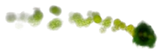 KBD poison fire