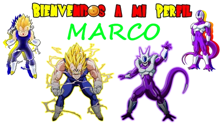 Marcobienvenida