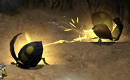 185px-Anode_Beetle_Attack.png