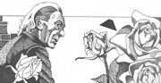 Roses