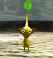 Yellow Pikmin Meet