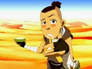 Sokka hallucinates