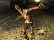 FO3 feral ghoul