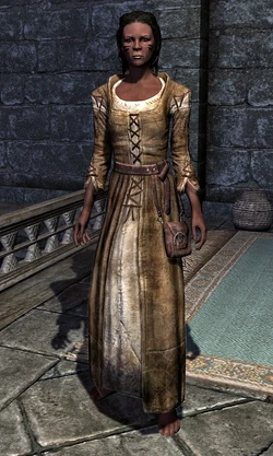 Belted Tunic 0001BE1A