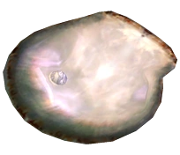Memorial Shell