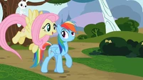 Angel on Fluttershy's tail S2E07