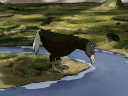 Ostrich horse