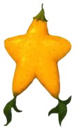 Paopu Fruit