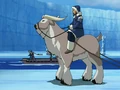 Buffalo yak.png
