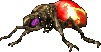 FoT boombug