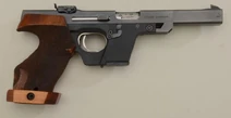 Walther GSP