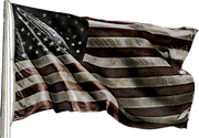 U.S Flag BFBC2