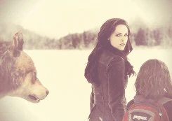 3 breaking dawn part 2