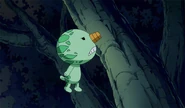 Nico stuck on a tree