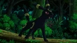 EP764 Umbreon de Virgil