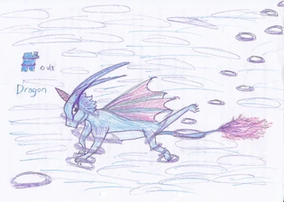 Nova dragon
