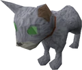 Bones (the kitten).png