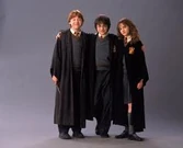 Potter 6