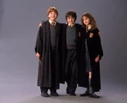 Potter 6
