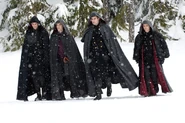 Unamed Volturi members