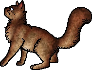 Leopardstar.deputy.alt2