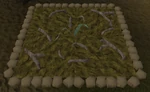 EvilTurnip1