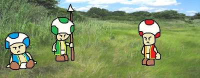 Toads2