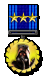 Medal-r2-fireteam
