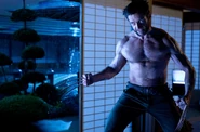 TW Wolverine