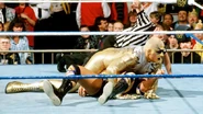 Raw 2-19-96 1