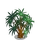Australian Fan Palm Tree-icon