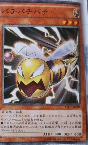 Bachibachibachi-LTGY-JP-OP.png