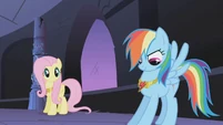 Rainbow Dash admires her necklace S01E02