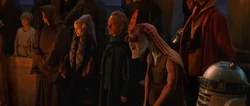 Mourning Qui-Gon