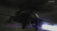 Hammerhead
