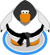 White Gi ingame