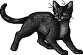 Webfoot.apprentice