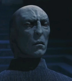 Lord Voldemort 1992