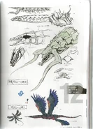 GrimaConcept