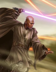 Vaapad windu
