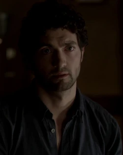 Shane 4x10