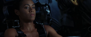 Niobe Piloting