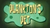 Plankton's Pet