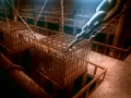 Waterbender cells.png