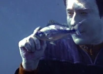 BAku fish