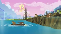 Fluttershy talking to mesmerized beavers S03E10