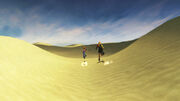 FFX Bikanel Desert