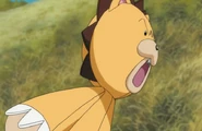 Ep320KonYellsAtNozomi