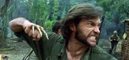WolverineVietnam