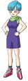 Bulma2013